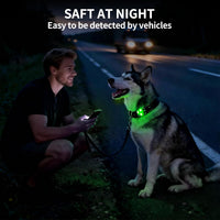 LaRoo Dog Lights, Led Collar Lights for Nighttime Walking - Green-A - image 3