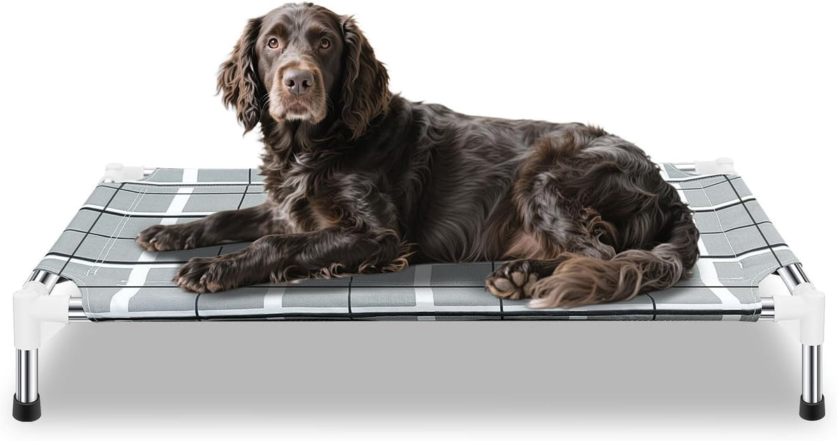 Elevated Dog Bed, Raised Cooling Lifted Dog Cot for Indoor & Outdoor – Essentials for Dogs - Grey / (M-):34'' x 20'' x 6''