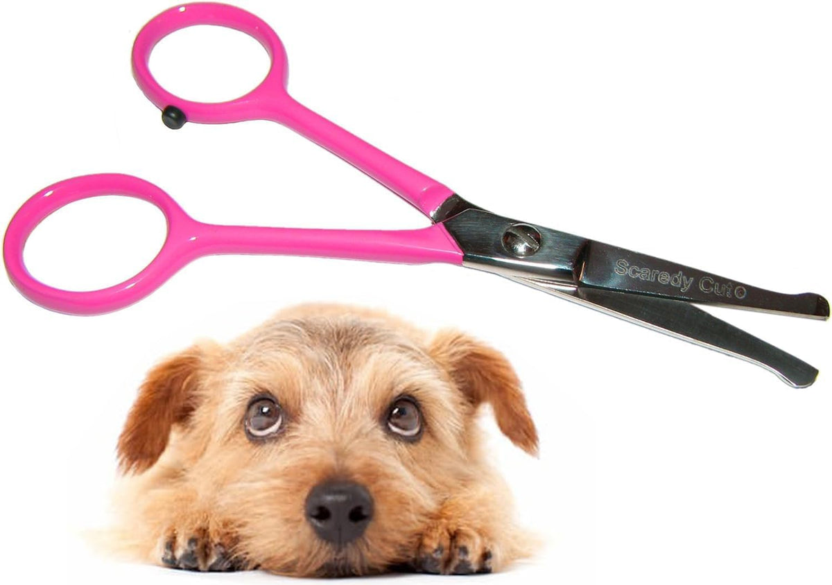 Tiny Trim 4.5" Ball-Tipped Scissor for Dog - Tiny Trim Safety Scissor / Pink