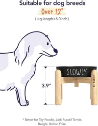 Ceramic Puzzle Slow Feeder Dog Bowl - 0.6 Cup Elevated with Wood Stand for Small Breeds, Black