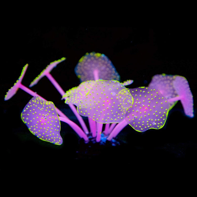 Uniclife Silicone Coral Plant Decorations Glowing Artificial Ornament - Yellow / Coral