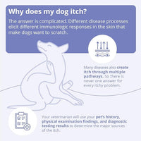 Plus TrizEDTA Spray Conditioner for Dogs and Cats, 8 oz
