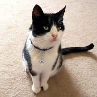 4 Sets Cat Bell for Dog Collar Charm Training Pet Pendant Accessories - Small / Silver+Pink - image 2