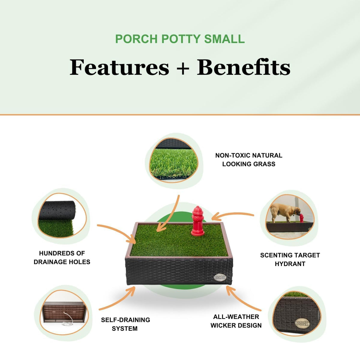Porch Potty Premium Outdoor Dog Potty System with Artificial Grass - Small - image 2