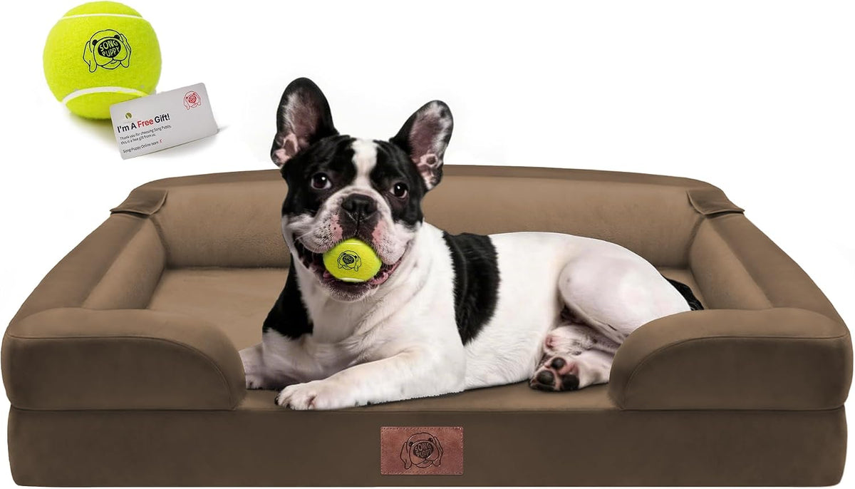 Waterproof Orthopedic Dog Bed for Extra Large Sized Dogs – Essentials for Dogs - 30 x 20 x 3 in / Dark Brown