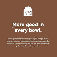 Open Farm Pasture-Raised Lamb Grain-Free Dry Cat Food, Humanely Raised Lamb Recipe with Non-GMO Superfoods and No Artificial Flavors or Preservatives, 2 lbs