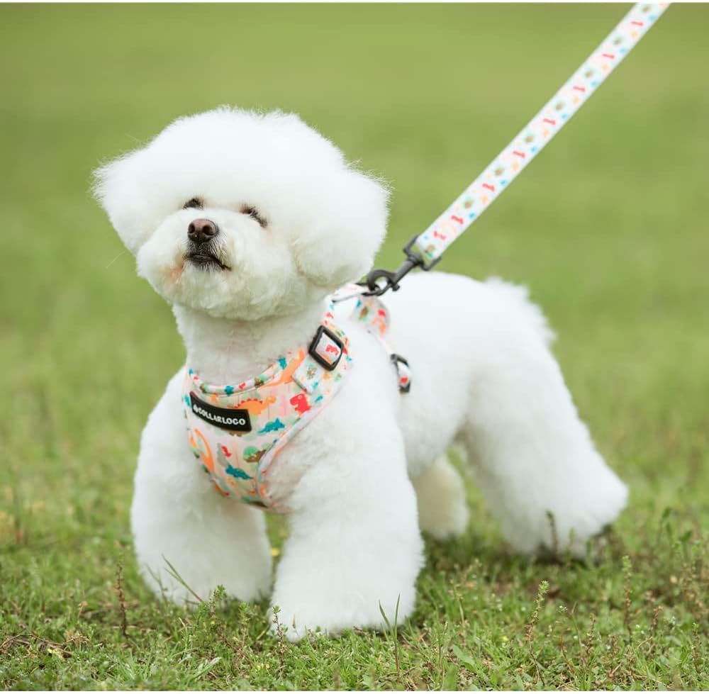 Dog Cat Harness and Leash Set - Dinosaur / M (Neck 13.4"-16.5"; Chest 17.7"-23") - image 2