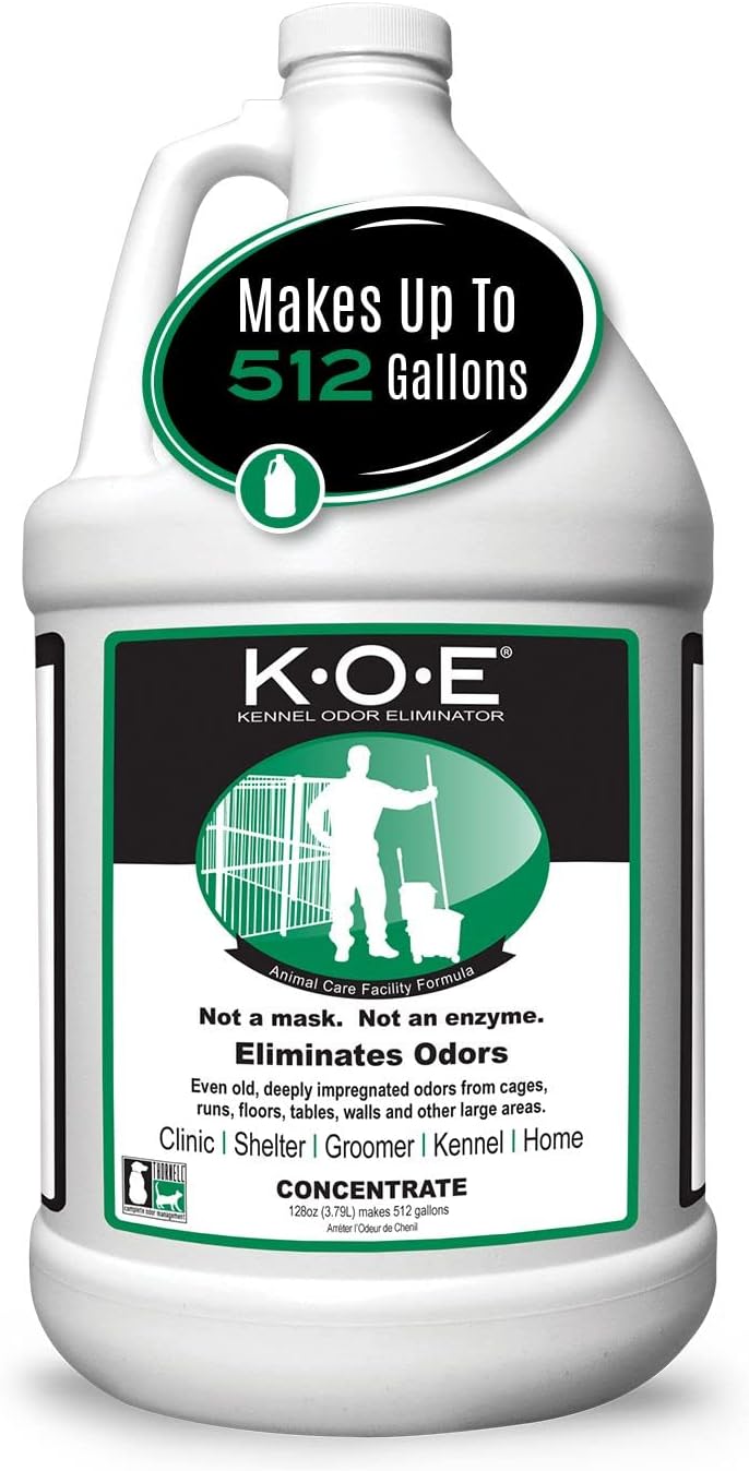 Odorcide KOE Fresh Scent Concentrate - Original / 128 Fl Oz
