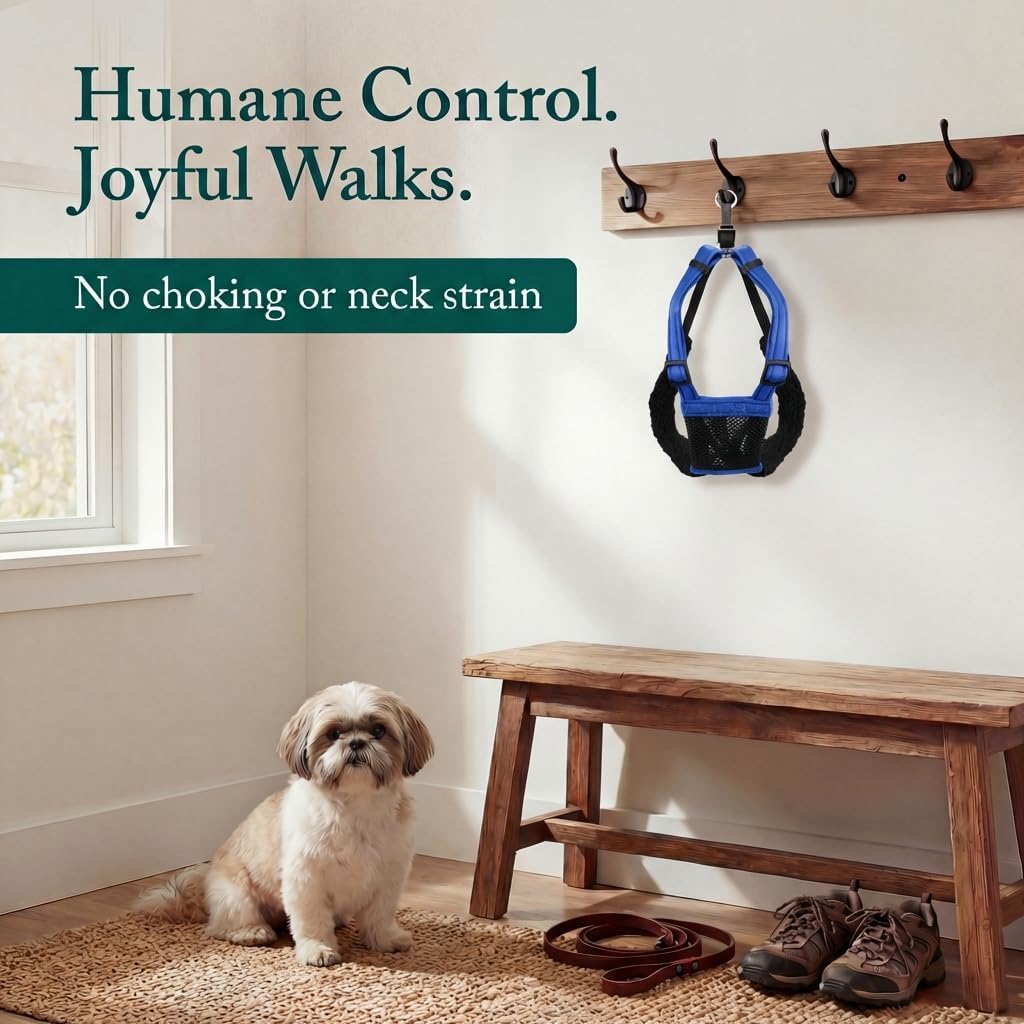 Sporn No Pull Dog Harness - Small / Blue - image 2