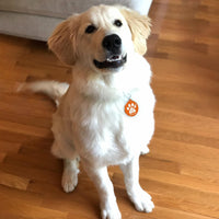 MYLUCKYTAG NFC&QR Code Personalized Dog Cat Tag - Paw,orange - image 4