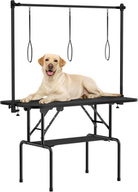 ROOMTEC 46 Inch Dog Grooming Table