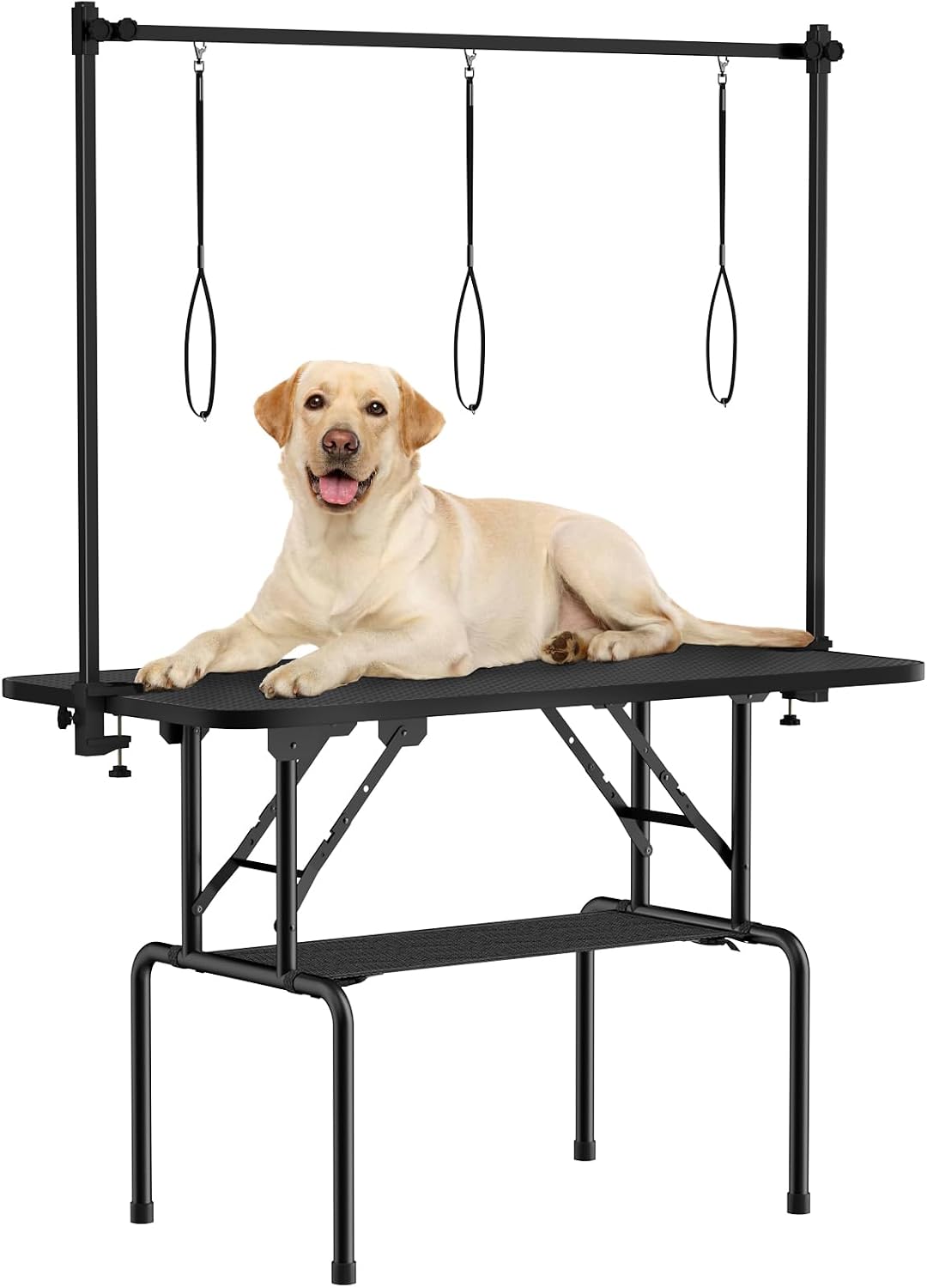 ROOMTEC 46 Inch Dog Grooming Table