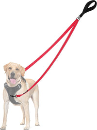 Two Point Control Dog Leash, No Tangle Training Walking Leashes – Essentials for Dogs - Red