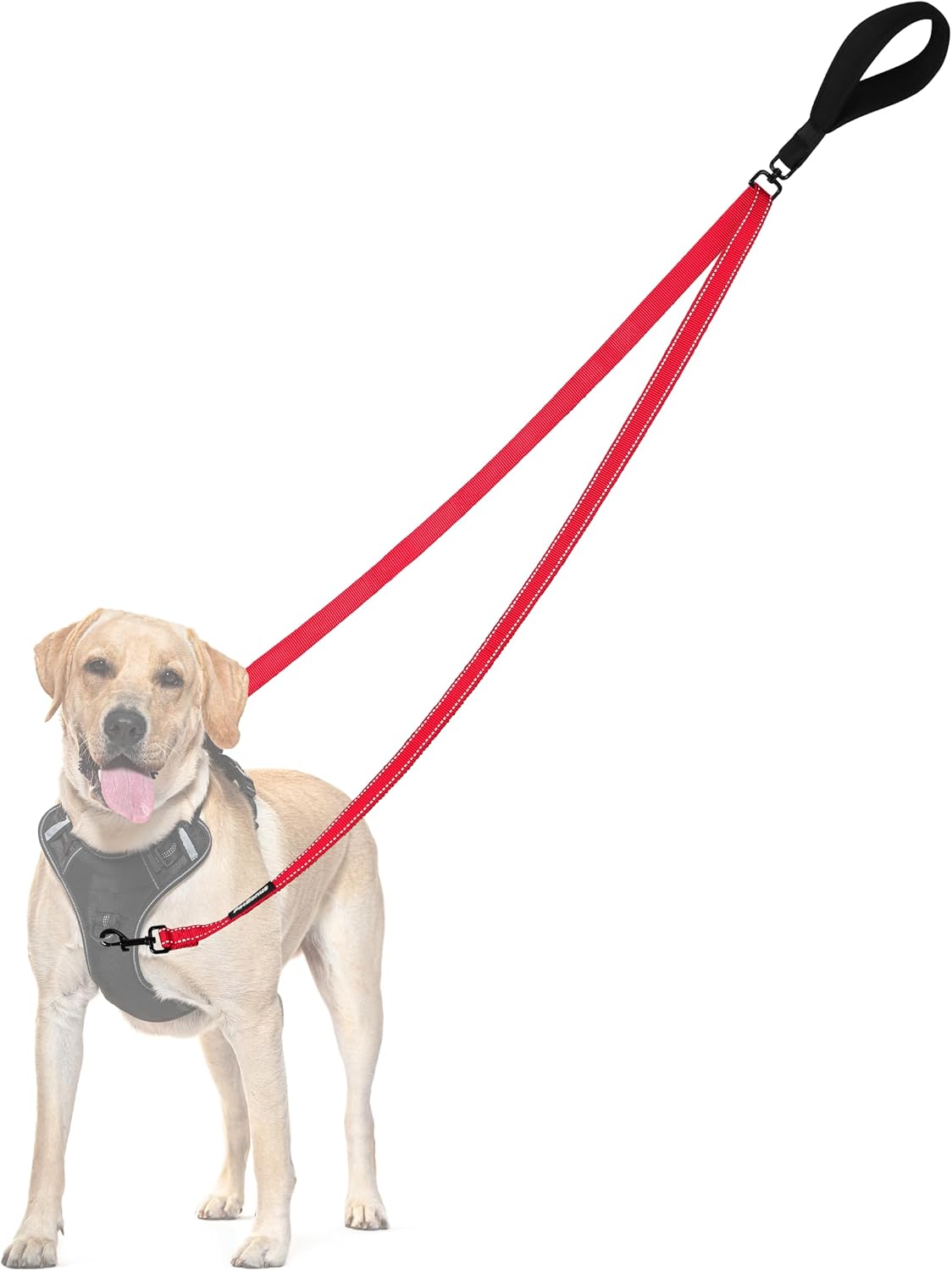 Two Point Control Dog Leash, No Tangle Training Walking Leashes – Essentials for Dogs - Red
