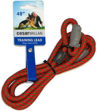 Cesar Millan Slip Lead Leash, Dog Leash, in Training Leash - Regular / Red/Olive