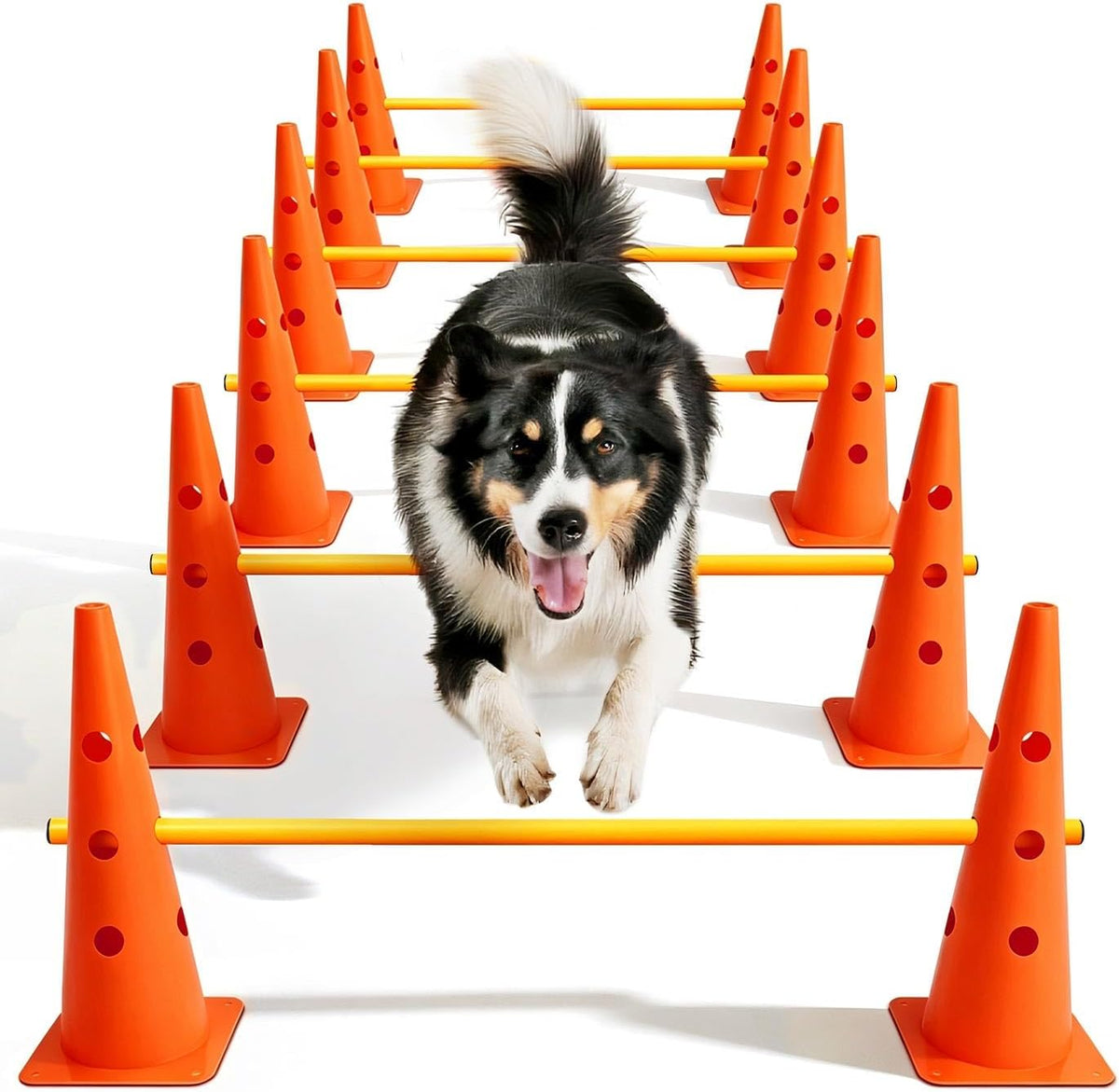 Dog Agility Course Backyard Set - 18 IN / Orange