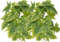 2Pack Reptile Plants for Terrarium - C-fake Sweet Potato Vine