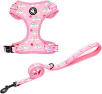 Dog Cat Harness and Leash Set - Rainbow / M (Neck 13.4"-16.5"; Chest 17.7"-23")