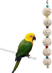 Bird Chewing Toy, Bird Sola Ball Toy with Bell, Bird Cage Accessories, Cage Toys for Cockatiel Parakeet Parrot Budgies Rat Hamster Chinchilla Rabbit Bunny African Grey