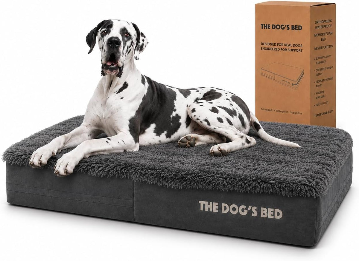 The Dog’s Bed Orthopedic Memory Foam Dog Bed - Grey Fur / XXL Beds (6" deep)