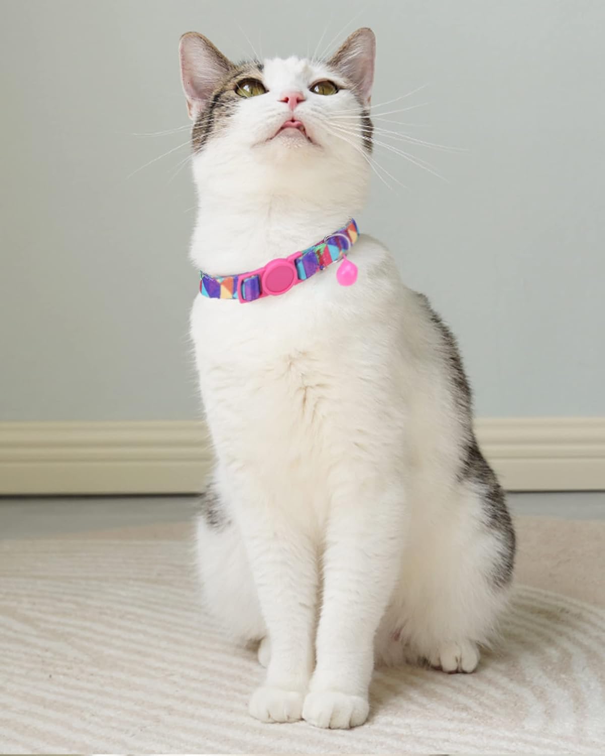 SOLMOONY Cute Cat Collar for Girl Boy - Leopard Print - image 2