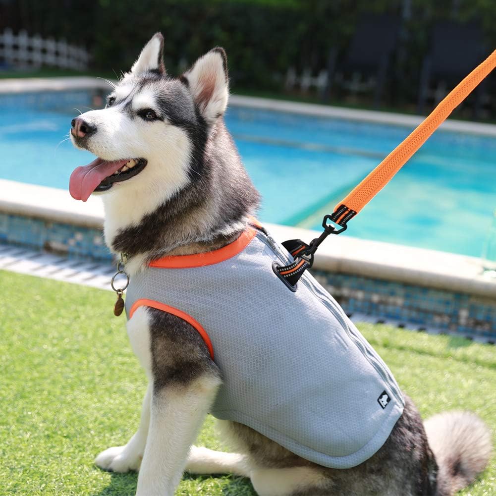 JUXZH Dog Cooling Vest, Evaporative Cooling Jacket Orange - Orange / Medium (Chest 20.5-24") - image 4