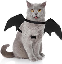 Pet Cat Bat Wings for Halloween Party Decoration - Medium / Pure Black