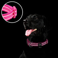 Reflective Dog Collar, Neoprene Padded Small Dog Collar, S - Small (Pack of 1) / Hot Pink - image 2