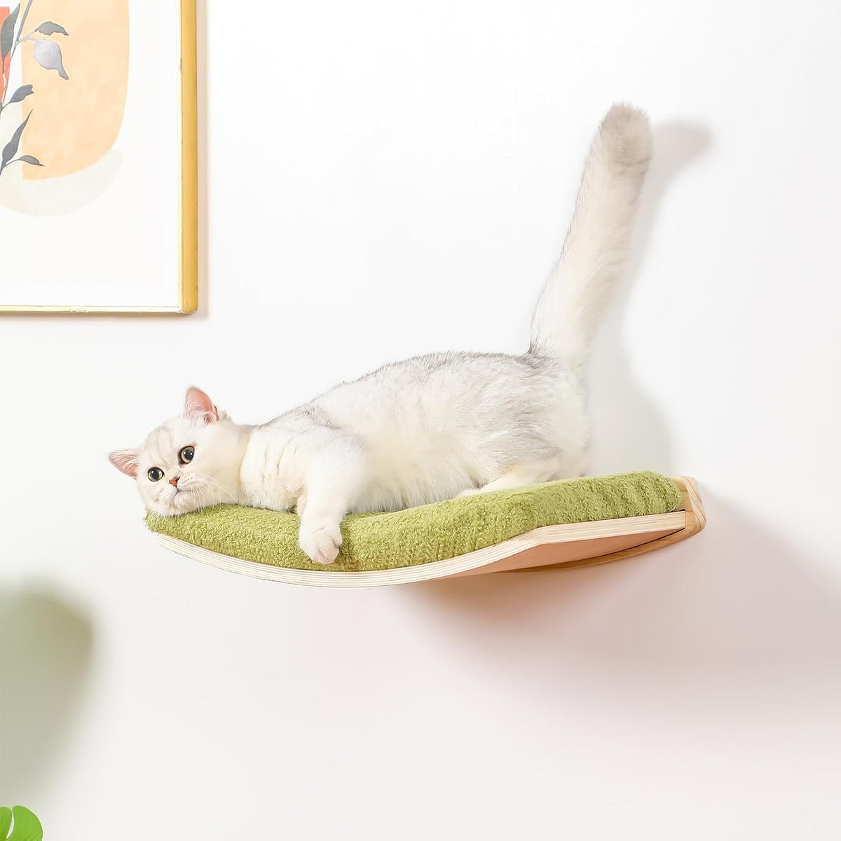 Curved Cat Shelves and Perches - Wood Shelf+Green Cushion - image 2