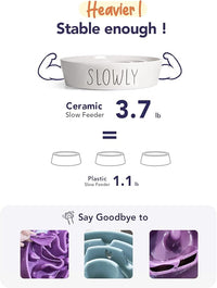 Slow Feeder Dog Bowl, 3 Cups Ceramic Maze Dog Food Bowl for Medium/Large Dogs – Non-Slip White Pet Dish, Cute Puzzle Design to Slow Fast Eaters