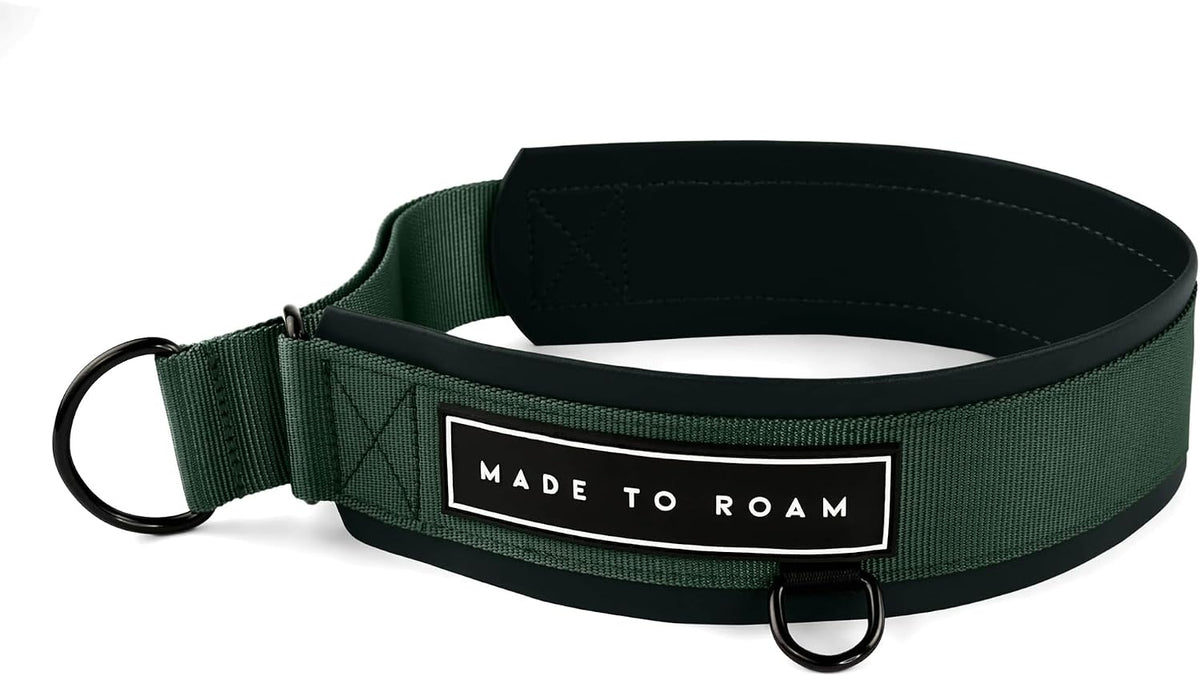 MADE TO ROAM Premium Everyday Dog Collar - Maine Marina / Size 9