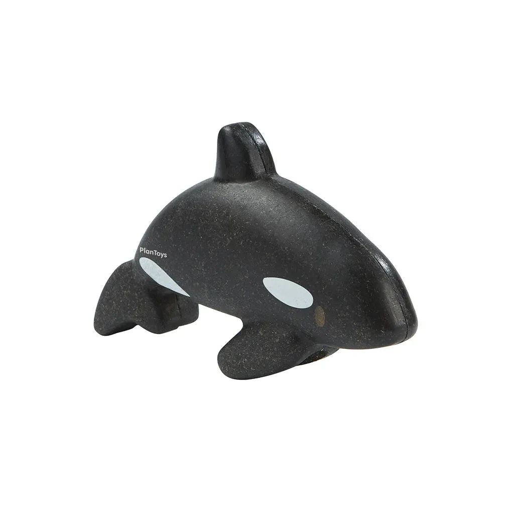 Orca - BIG FRENCHIES
