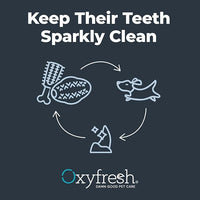 Oxyfresh Dog Dental Chew Toy - Best Durable Rubber Dog Toy & Puppy Teething Toy - Helps Remove Plaque, Cleans Teeth & Freshens Breath Without Brushing (Small)