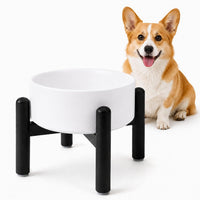 Raised Ceramic Dog Bowl Set with Stand - White / 1 Bowl - 3.5 Cups