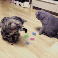 Andiker 12 Pcs Colorful Cat Spring Toys for Indoor Cats and Kittens – Essentials for Cats - image 2