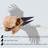 Fish Cave Hideout Ornament Décor for Terrarium Dinosaur Animal Skull Aquarium Large Decorations Betta Tarantula Reptile Snake Decor Bones Halloween