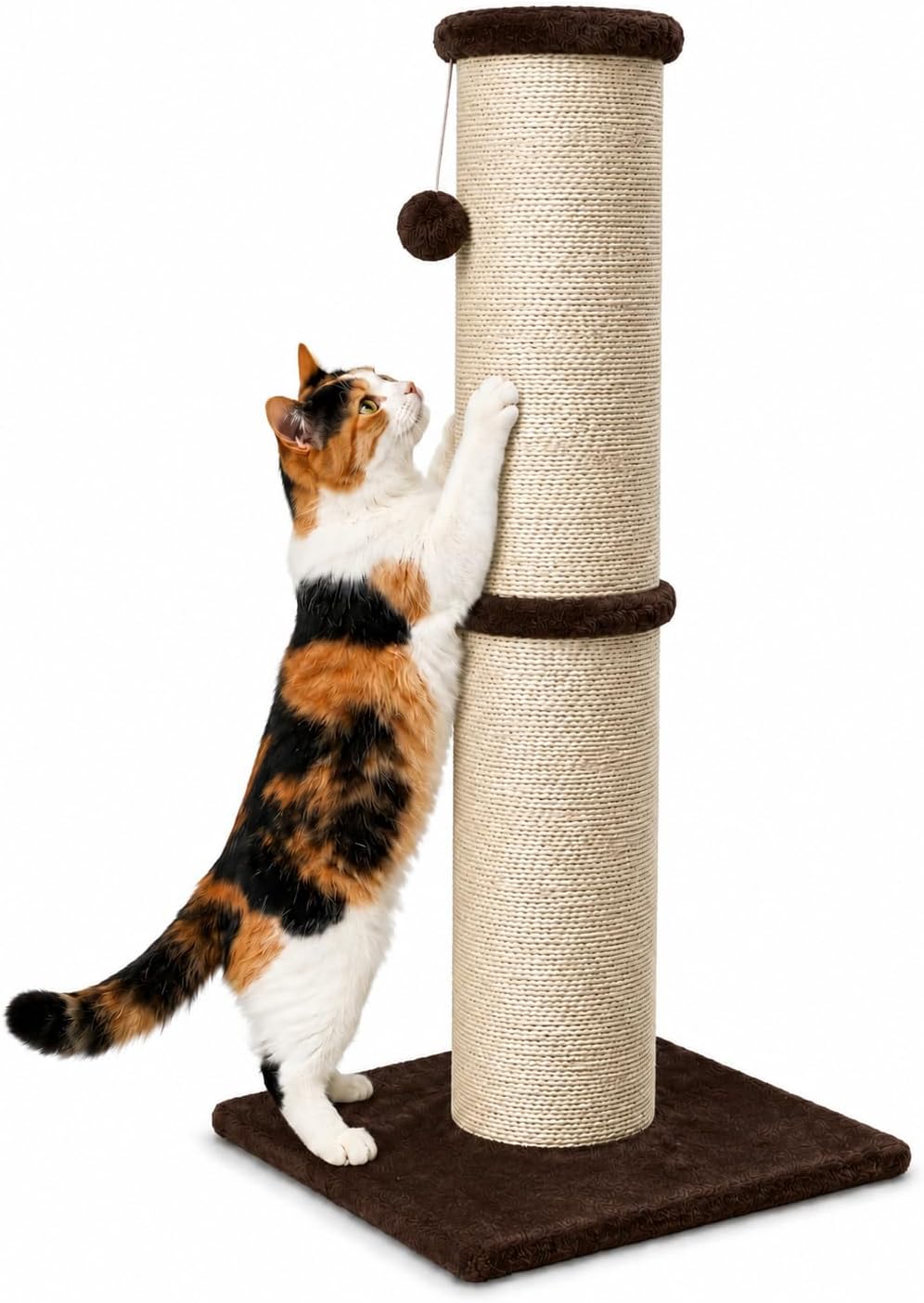 PAWSCRAT 32-Inch Tall Cat Scratching Post, Sisal - X-Large / Brown
