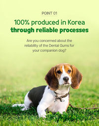 SSOMDALPET Chap Chap Dental Gum for Dogs, 30 Chews | Soft & Chewy, Dental Care Treat, Large Pack, Joint & Bone, Eye & Skin, Gut & Probiotics Options (30 Count, Joint & Bone (Green/Apple))