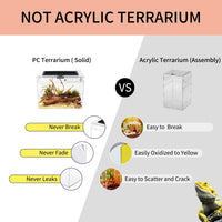Reptile Growth Mini Reptile Terrarium - Clear / 12" x 7"x 9" - image 2