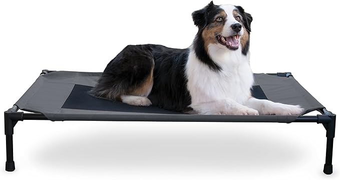 K&H Pet Products Outdoor Elevated Dog Cot, Breathable Cooling Elevated Cot Hammock Pet Bed for Large Dogs, Washable Mesh Cover, Raised Metal Frame, Collapsible, Portable - Large 42 X 30in Charcoal