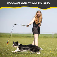 YES4QUALITY Flirt Pole for Dogs - Flirt Pole - image 2