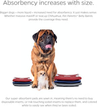 Pet Parents Washable Belly Bands for Male Dogs + Extendrs of Durable - Large (20-25") / Kingsmen - image 4