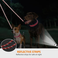 Taglory Double Dog Leash Coupler for Two Dogs - 30 Inch (Pack of 1) / Red - image 4