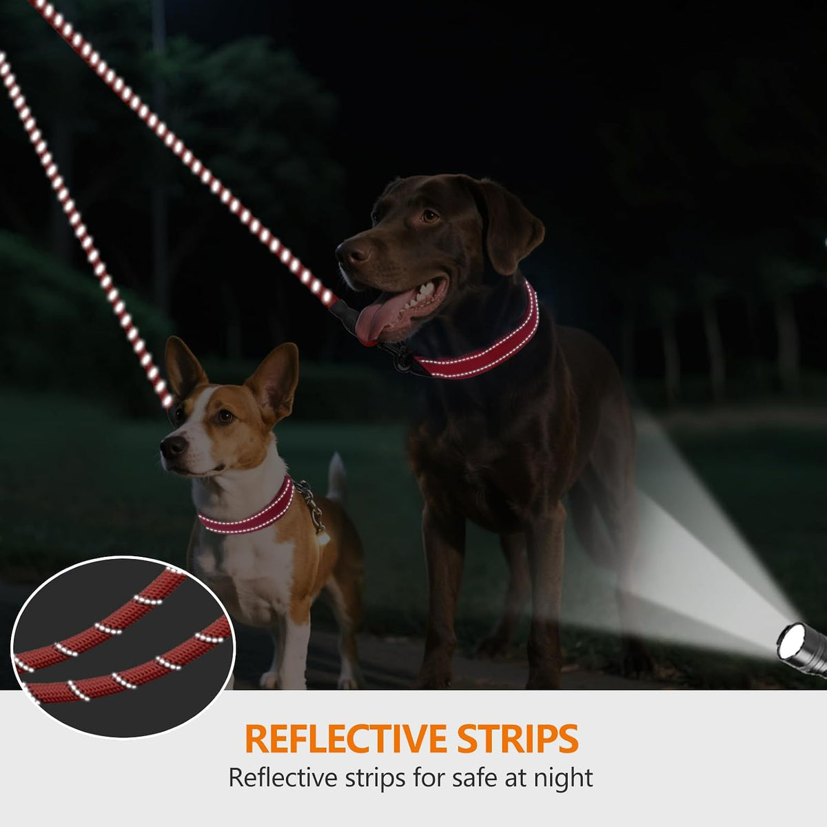 Taglory Double Dog Leash Coupler for Two Dogs - 30 Inch (Pack of 1) / Red - image 4