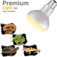 Reptile Heat Bulb Lamp, 2-Pack 100W Daylight Basking Spot, Bearded Dragon/Turtle/Lzard/Gecko Light - 2-PACK Daylight Basking Spot / 75W - image 2