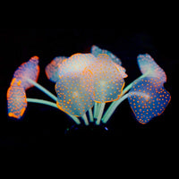 Uniclife Silicone Coral Plant Decorations Glowing Artificial Ornament - Orange / Coral - image 3