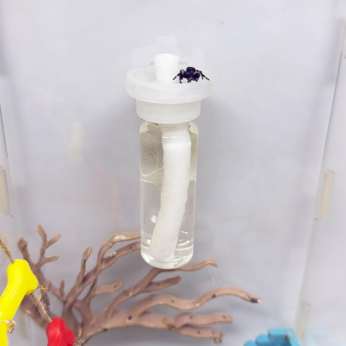 Jumping Spider Water Dispenser, Magnetic Hanging Feeder - Transparent / 15ML