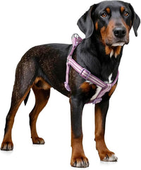 Stripe Step in Dog Harness for Small Dogs, Freedom Nylon Dog Halter Vests, Lightweight and Escape Proof Puppy Harness, Quick Fits for Small Medium and Large Dogs, Purple L