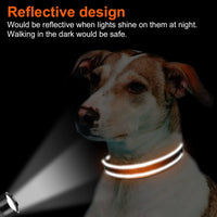Joytale Reflective Dog Collar, Adjustable Neoprene Padded - Large (Pack of 1) / Orange - image 2