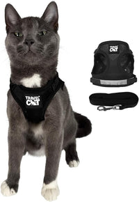 Travel Cat Harness and Leash Set - Large / Black